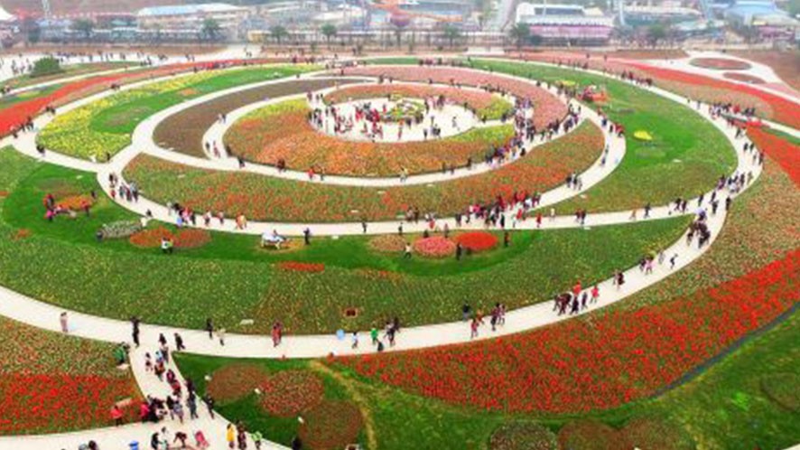 世界名花广场
